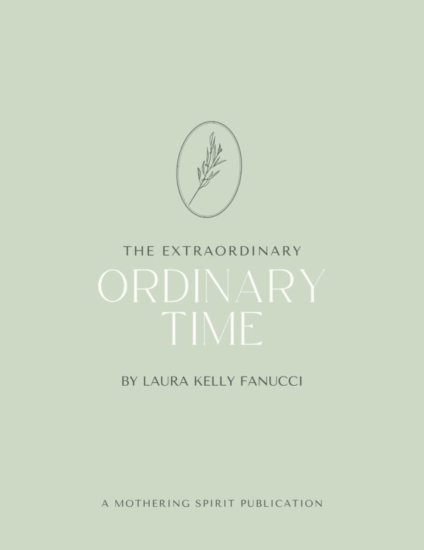 The Extraordinary Ordinary Time e-book